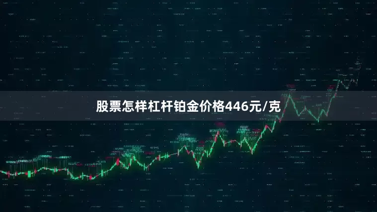 股票怎样杠杆铂金价格446元/克