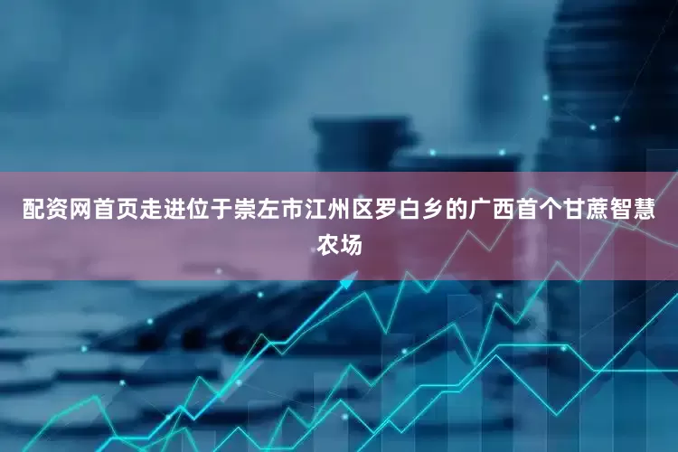 配资网首页走进位于崇左市江州区罗白乡的广西首个甘蔗智慧农场