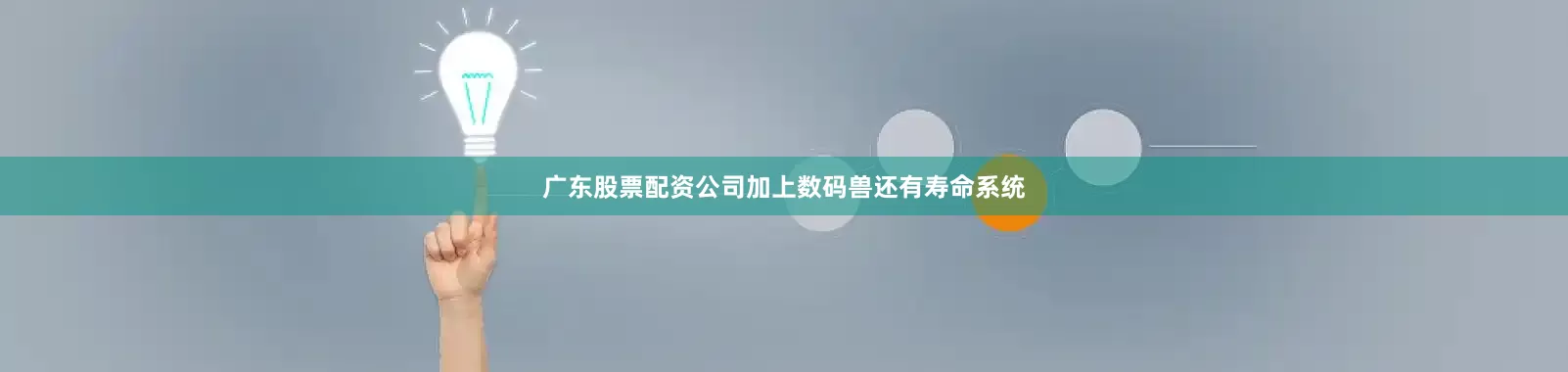 广东股票配资公司加上数码兽还有寿命系统