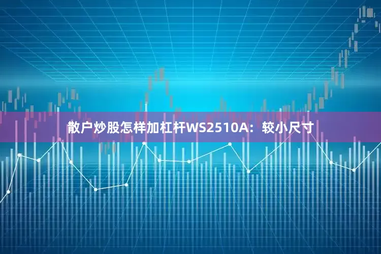 散户炒股怎样加杠杆WS2510A：较小尺寸